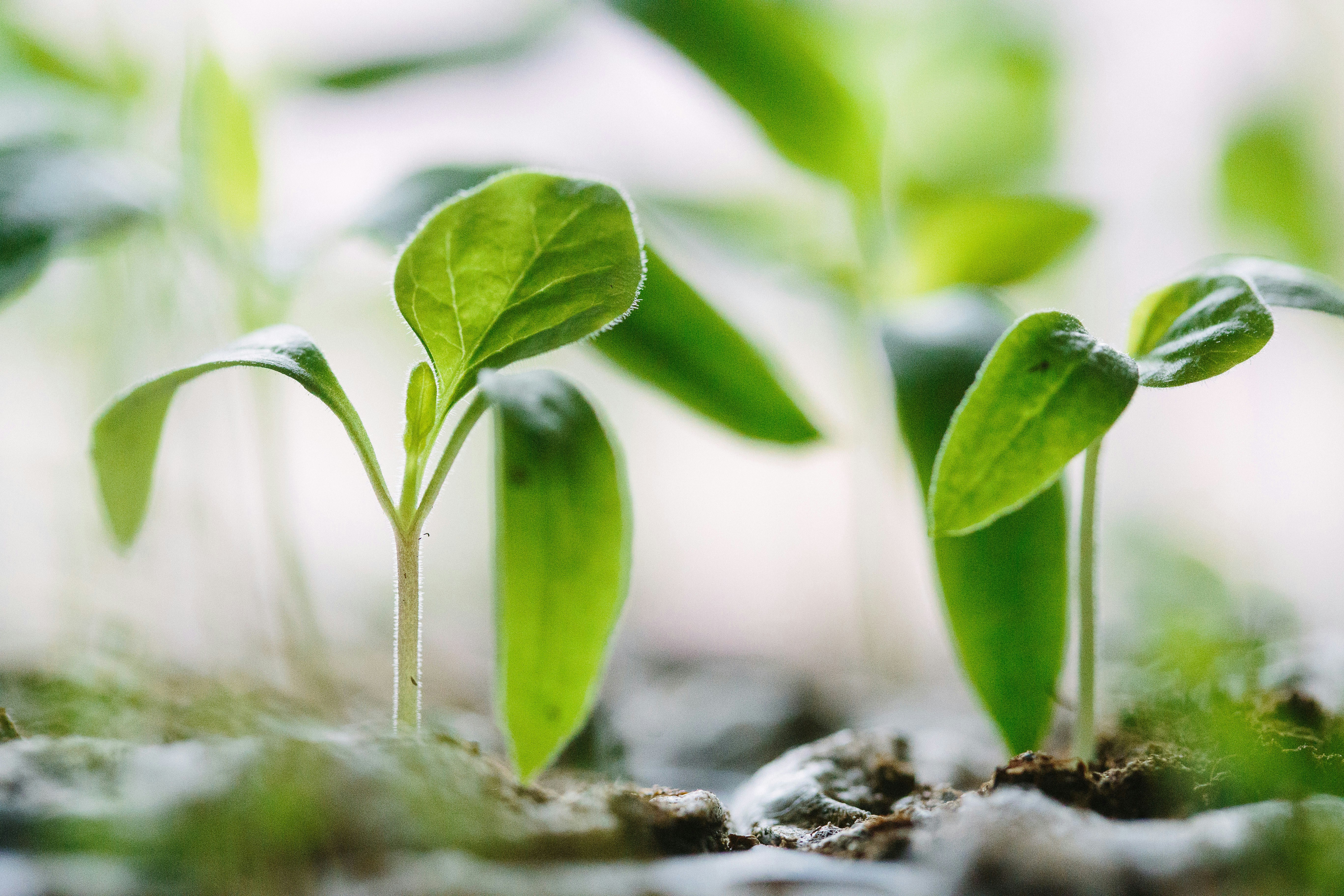 Heaten secures loan from Innovation Norway to support growth agenda